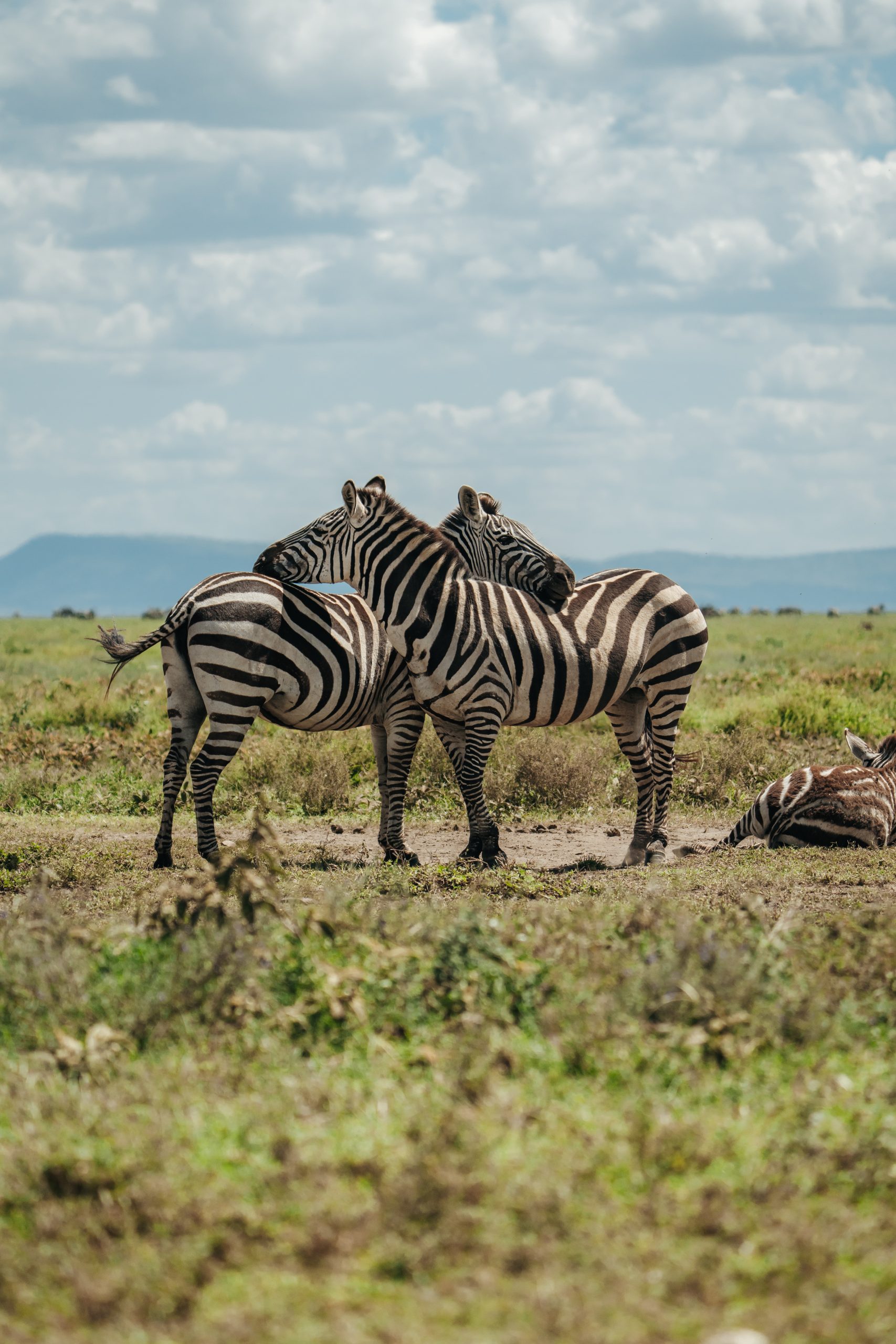 Tanzania 20-600 (124 of 195)